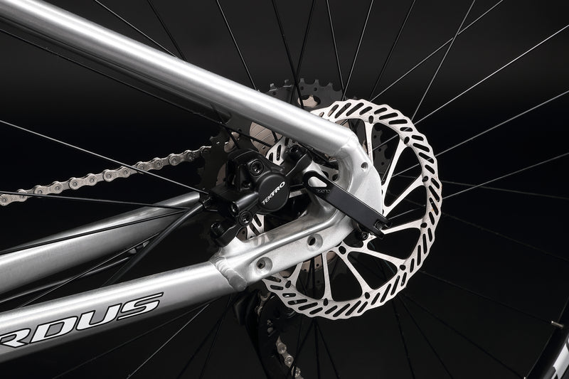 Load image into Gallery viewer, Pardus NAIK with Shimano DEORE 2*11 Speed Alloy Mountain Bike