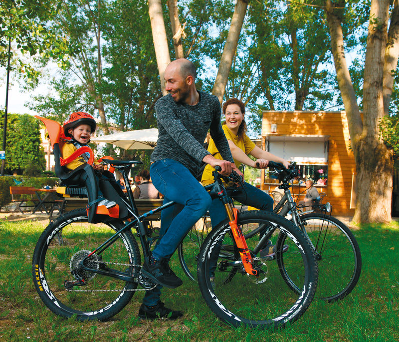 Load image into Gallery viewer, Bellelli Child Rear Bicycle Seat TIGER (up to 22 kg) with Standart B-fix system