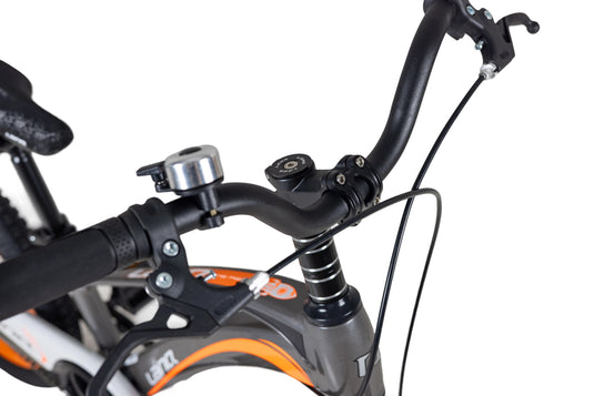 LanQ MG Magnesium Alloy 20 inch Kids Bike 3-Spokes 2081