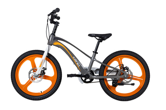LanQ MG Magnesium Alloy 20 inch Kids Bike 3-Spokes 2081