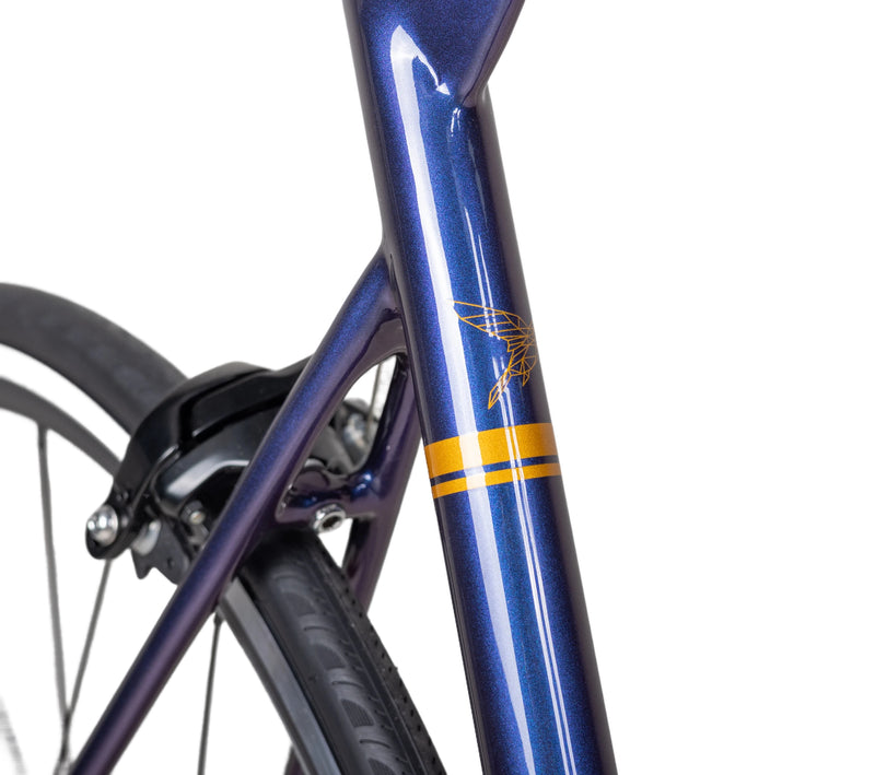 Load image into Gallery viewer, Pardus Robin SL With Alloy Wheels Road Bike Warehouse Clearance
