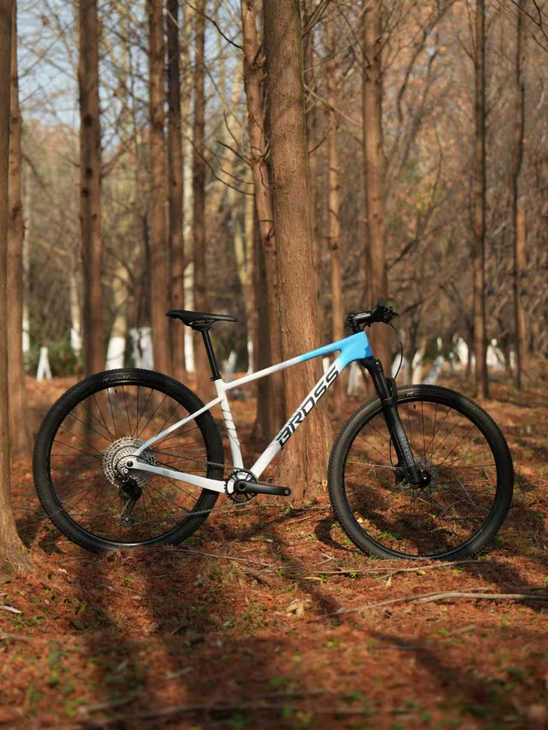 Load image into Gallery viewer, BROSS Keystone 3S Carbon Hardtail XC Mountain Bike Warehouse Clearance
