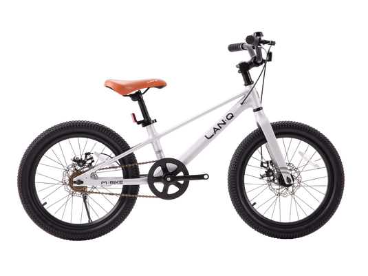 LANQ Q Magnesium Alloy Kids Bike 20 inch Children Bicycle