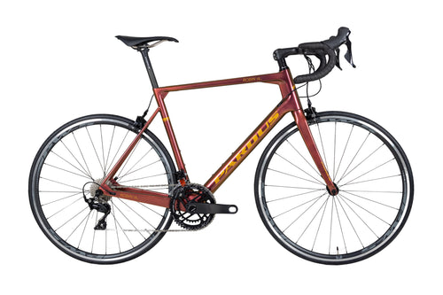 Pardus Robin SL With Alloy Wheels Road Bike Warehouse Clearance