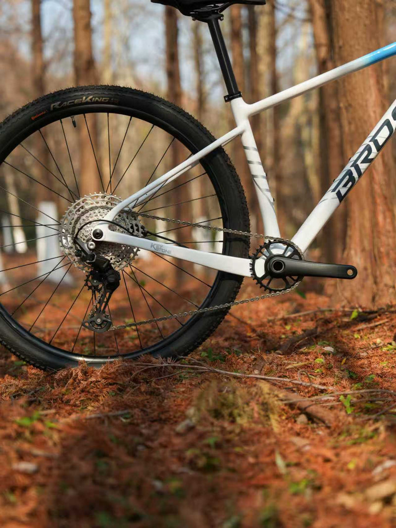 Load image into Gallery viewer, BROSS Keystone 3S Carbon Hardtail XC Mountain Bike Warehouse Clearance
