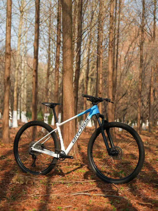 BROSS Keystone 3S Carbon Hardtail XC Mountain Bike Warehouse Clearance