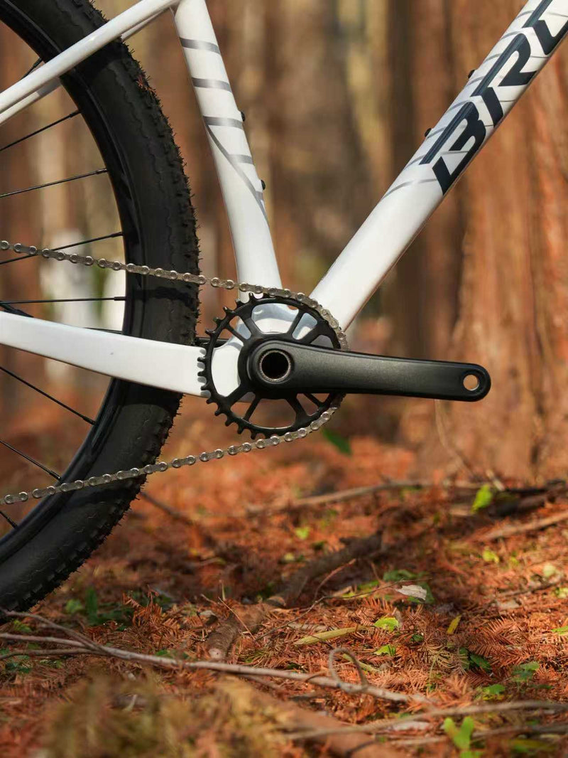 Load image into Gallery viewer, BROSS Keystone 3S Carbon Hardtail XC Mountain Bike Warehouse Clearance
