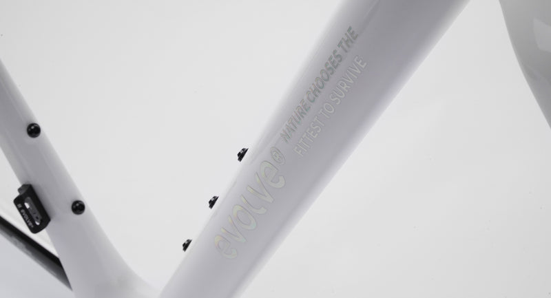Load image into Gallery viewer, Evolve Cima Carbon Road Bike Frameset

