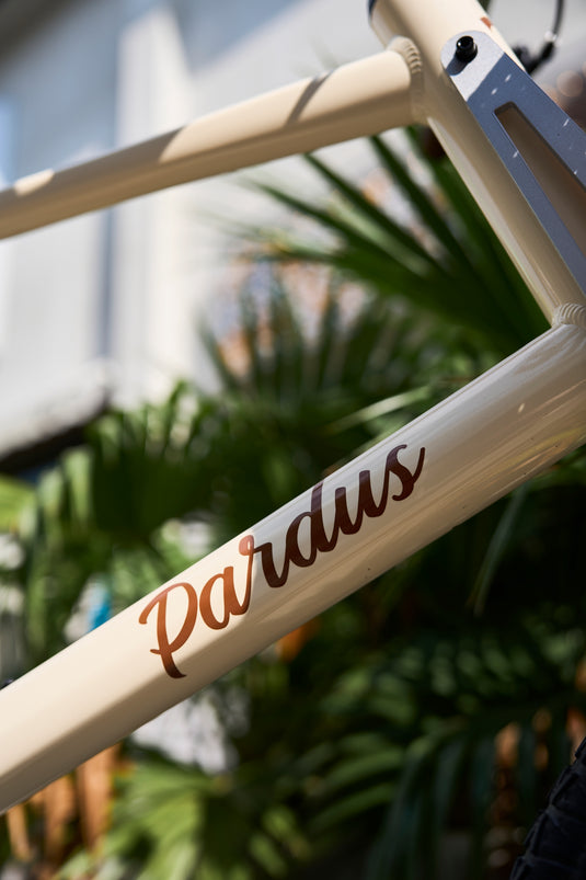 Pardus KAGO Alloy Uraban Bike