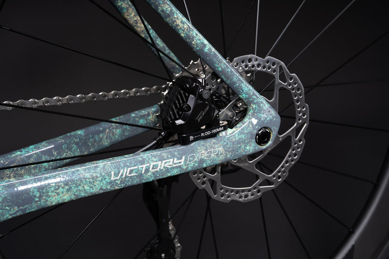 Load image into Gallery viewer, Sunpeed Victory Carbon Road Bike with Shimano 105 Di2
