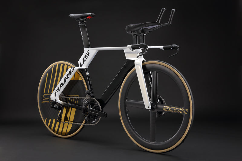 Load image into Gallery viewer, Pards Gomera EVO TT Time trial Bike
