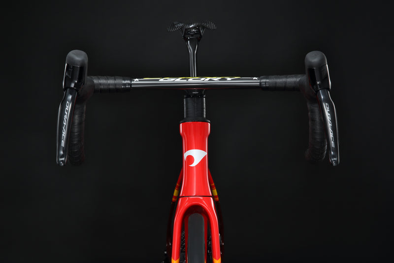 Load image into Gallery viewer, Pardus Spark EVO UCI CONTINENTAL TEAM CHINA GLORY - MENTECH  Frameset
