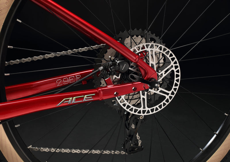 Load image into Gallery viewer, Sunpeed ACE Shimano 12 Speed XC Bike
